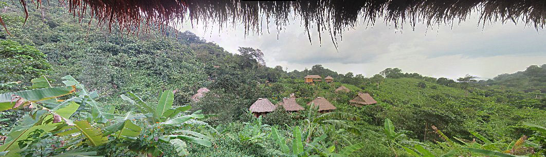 Jasmine Valley Room 9 view